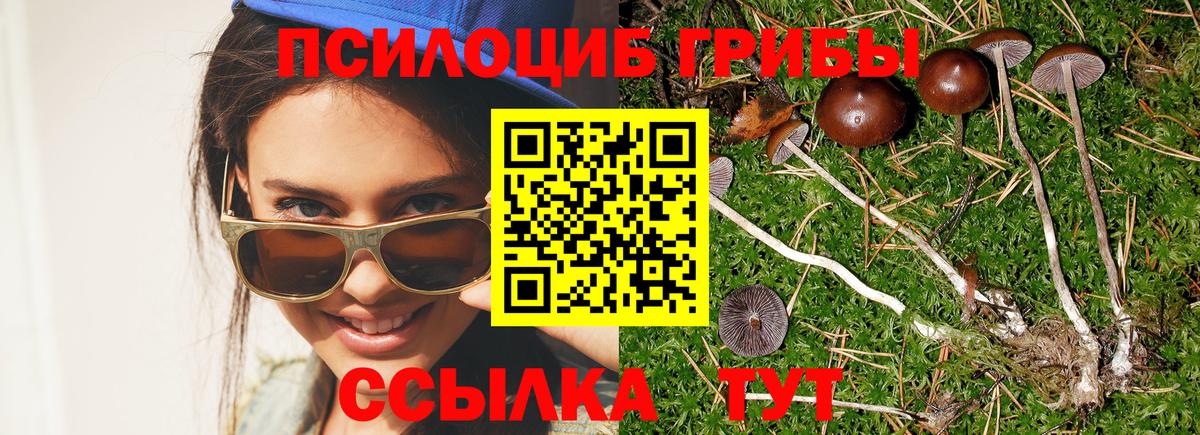 Новосибирск  Галлюциногенные грибы мицелий  Вход с VPN  Галлюциногенные грибы Magic Shrooms 